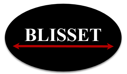 Blisset LLC